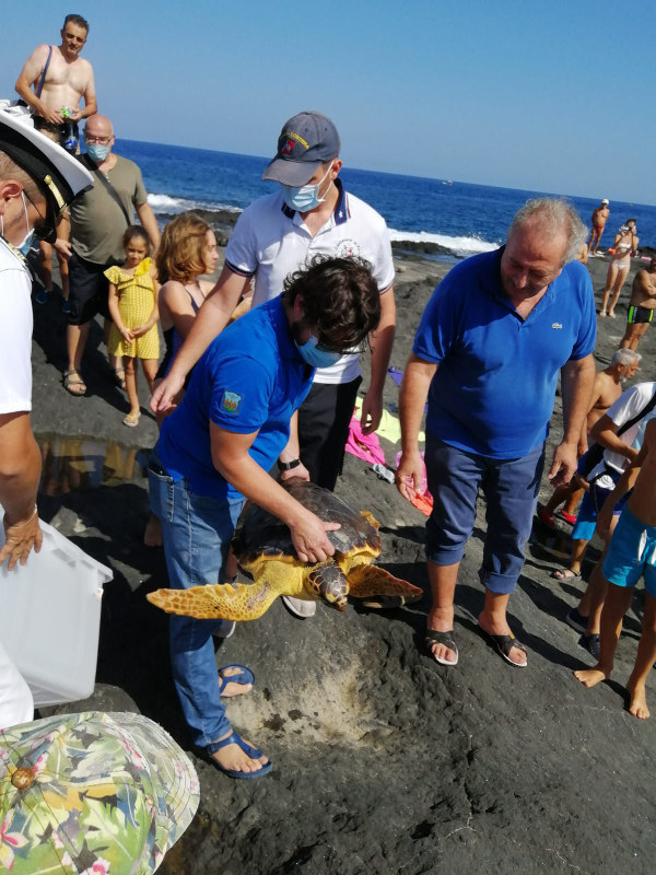Puck, la caretta caretta ricoverata a Favignana, torna nelle acque di Pantelleria