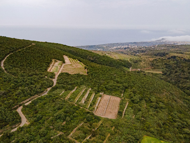 Figura 8: Visione panoramica di un fianco di Kuddia Attalora, sporgente verso la zona di Rekale