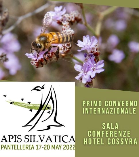 Apis Silvatica: dal 16 al 20 maggio primo meeting internazionale a Pantelleria 