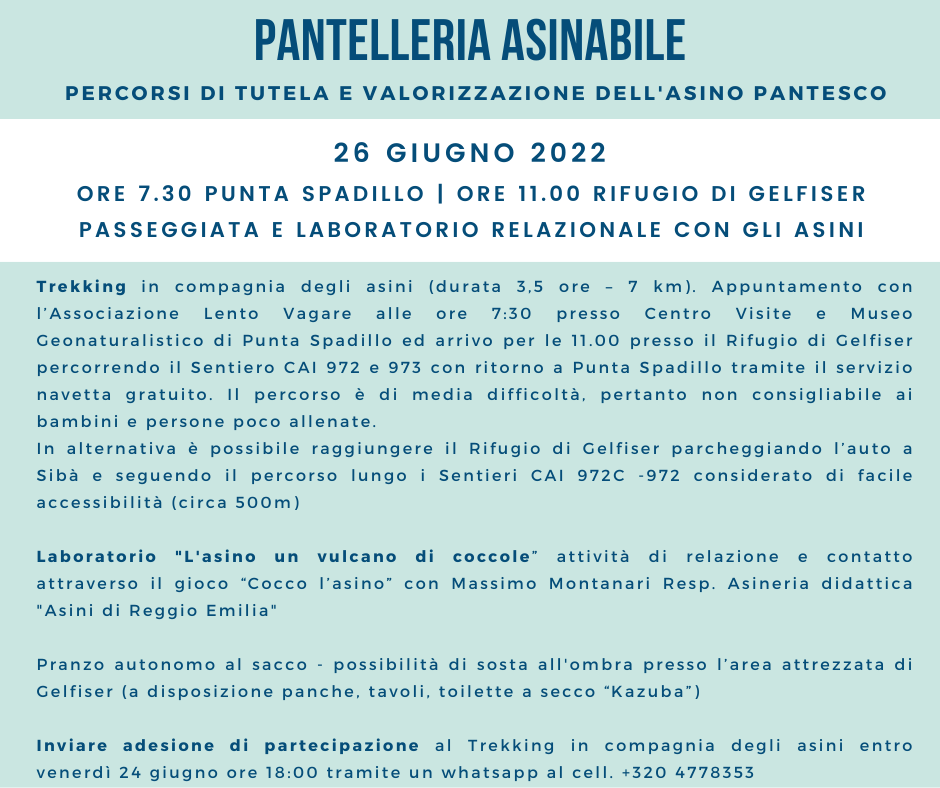 Pantelleria Asinabile : un progetto di tutela e valorizzazione dell'asino pantesco